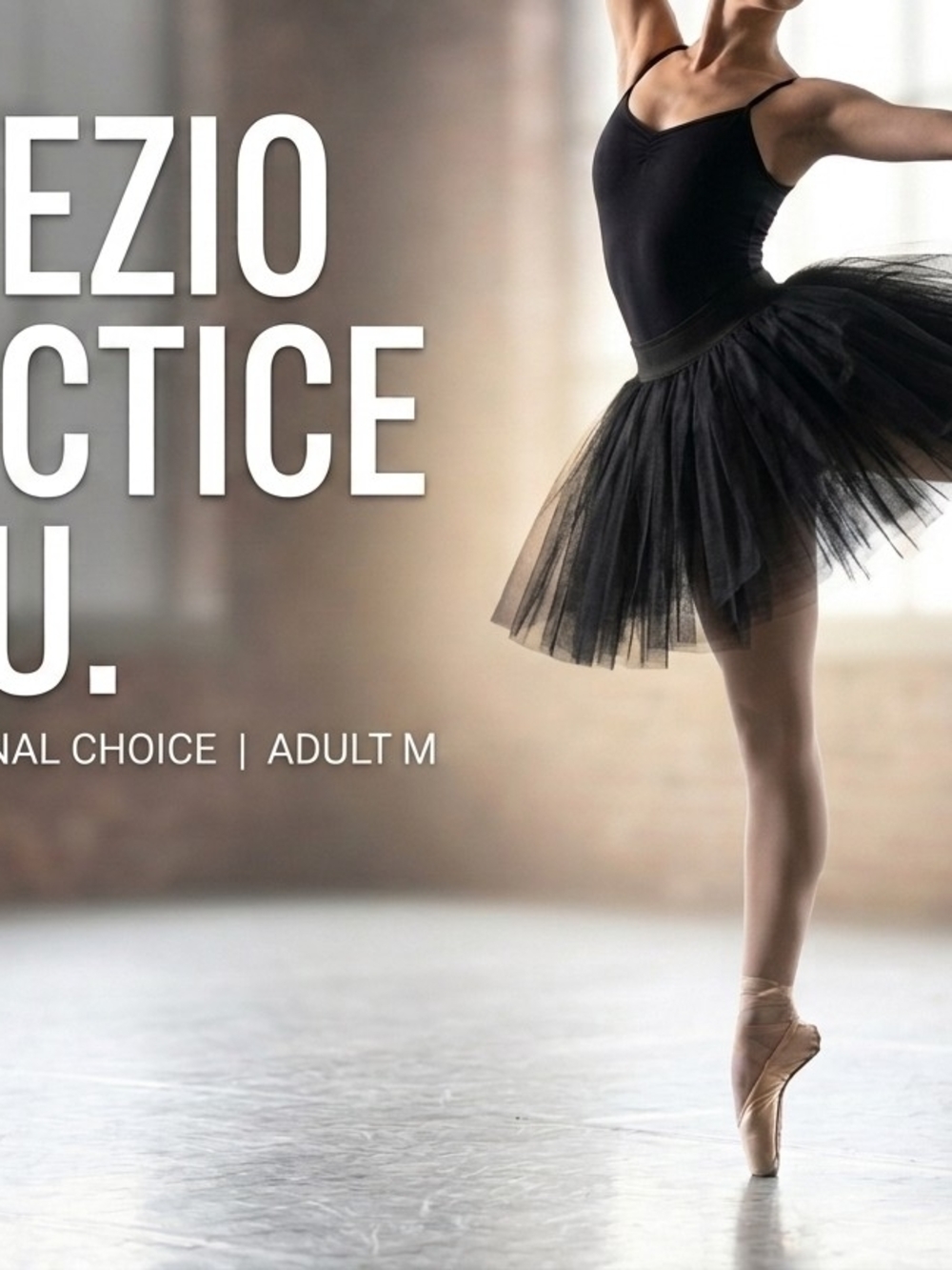 Capezio Black Tulle Skater Ballet Skirt